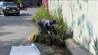 Clean up overgrown grass and trash that has filled the drainage ditch for more than 2 years