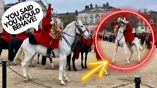 Rare White King’s Horse Goes Absolutely Crazy, Public Run and Has To Be Taken In!