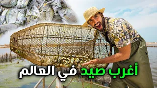 أغرب طريقة صيد سمك في العالم | جزيرة قرقنة تونس