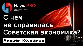 С чем не справилась Советская экономика? СССР: причины рождения и ухода – Андрей Колганов | Научпоп