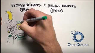 Estrogen Receptors &  HER2/neu Receptors in Breast Cancer (a TUTORIAL from Oster Oncology)