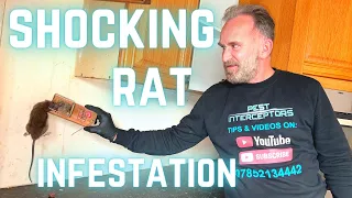 EXTREME RAT DIVISION faces its BIGGEST CHALLENGE YET!!!