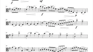 40. Rieding Concerto Op.35 for viola in E-minor