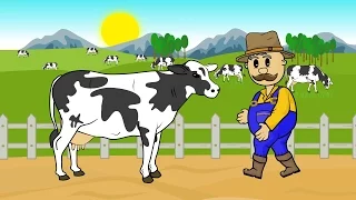 Construction and use of a trailer for transporting dairy cows - Fairy tales about farmers
