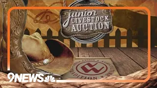 Full 2024 National Western Junior Livestock Auction