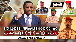 EXERCICES MILITAIRES CONJOINTS AES - TOGO - TCHAD / QUEL MESSAGE ?