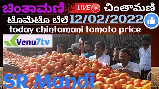 #Chintamani #today #12/02/2022 #Tomato rates in Chintamani #Venu7tv