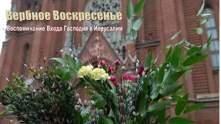 Св. Месса Вербного Воскресенья 02.04.2023 в 10:00