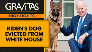 Secret Service Agents Live In Fear Of Biden's Dog, Commander | Gravitas Highlights