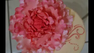 Pfingstrose/ Peony / Zuckerblume/ Step by Step / Torten Dekoration/ Blütenpaste