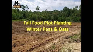 Planting Fall Food Plots: Winter Peas and Oats