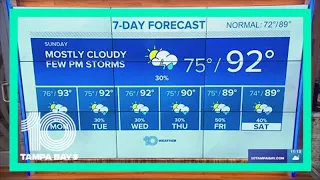 10 Weather: Warm and muggy with afternoon rain chances