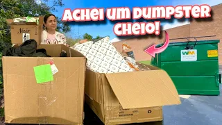 Achei um dumpster cheio de coisas novas!🇺🇸