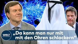 „Irgendwie müssen wir den Laden ja warmhalten“ - GAS-DEAL mit KATAR | WELT INTERVIEW