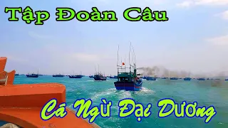 CÂU CÁ GÙ BIỂN HOÀNG SA 1║Tập Đoàn CÁ NGỪ ĐẠI DƯƠNG Nối Đuôi Nhau Ra HOÀNG SA.