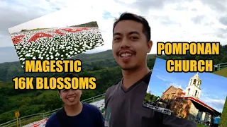 POMPONAN CHURCH AND LINTAON PEAK'S 16,000 BLOSSOMS