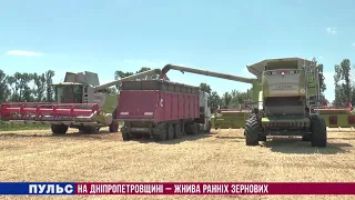 На Дніпропетровщині – жнива ранніх зернових. Випуск від 14.07.2021