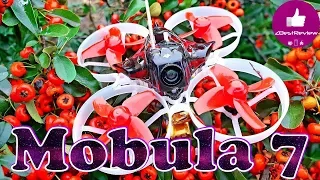 ✔ Мой Любимый Tiny Whoop - Happymodel Mobula 7 !