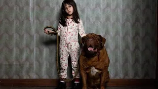CUANDO ACECHA LA MALDA                                  escena de la niña y el perro.