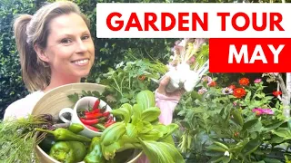 MAY - Full Melbourne vegetable garden TOUR - plus what to plant now! Gardening Australia