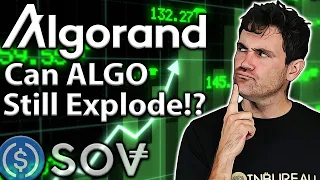 Algorand: What is ALGO's Future Potential?? 🔮