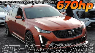 670hp Cadillac CT5-V Blackwing vs Scat Pack, Audi, BMW, Mustang & FRS in Epic Street Heat Showdown!