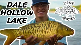 Catching PRISTINE Fully Scaled Mirror Carp!