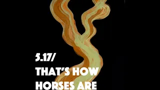 Thom Yorke – 5.17 / That's How Horses Are