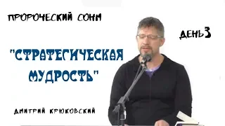 "СТРАТЕГИЧЕСКАЯ МУДРОСТЬ"- пророческий сонм ...Дмитрий Крюковский (день 3)