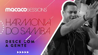 Macaco Sessions: Harmonia do Samba - Desce Com A Gente