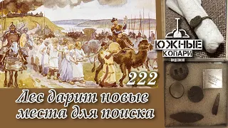 Лес дарит новые места для копа 222