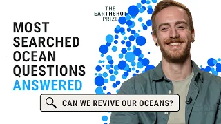 Can we reverse the damage to the ocean? | The Internet's Questions about the environment  🌊