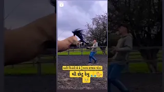 Unbelievable: Man killed by powerful horse kick