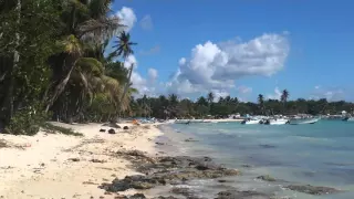 La romana