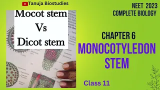 Ch-6 | Monocot Stem | Dicot Vs Monocot Stem | Class 11 Biology | NEET 2023 | #shorts