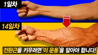 일반인이 '전완근(악력)을 키우는 가장 빠른 방법!?