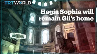 Hagia Sophia will remain Gli's home