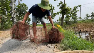 Những Lúc Ở Nhà Cùng Gia Đình Nhỏ 2 Lúa Miền Tây - TT1934