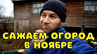 ОСЕНЬ, А МЫ САЖАЕМ ОГОРОД. ЗАГОТОВКА ДРОВ. ЖИЗНЬ В ДЕРЕВНЕ