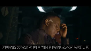 Guardians of the Galaxy Vol. 3 - Rocket fled from the Counter Earth