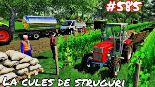 Roleplay pe Dumesti///AM CULES O CĂRUȚĂ DE STRUGURI[EP585]-Farming Simulator 19