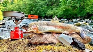 BIG Rainbow Trout Catch & Cook!!! PRISTINE River Fishing with my Dog & UNDERWATER FOOTAGE