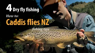 How to • Dry fly fishing • Caddis flies New Zealand • fishing tips