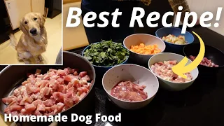 HOMEMADE Dog Food | Best Recipe to Cook for a HAPPY & HEALTHY Dog!