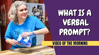 What is a Verbal Prompt?