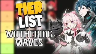 Wuthering Waves TIER LIST!!