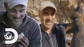 Ed Stafford Makes Wild Hare Pie In The Desert! | Ed Stafford: First Man Out