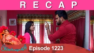 RECAP : Priyamanaval Episode 1223, 22/01/19