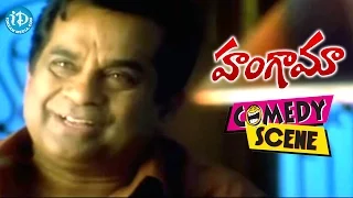 Hungama Movie Brahmanandam All Time Hit Comedy Scenes