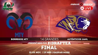 FINAL ONEFA: BORREGOS MONTERREY vs AUTÉNTICOS TIGRES | Liga Mayor en Máximo Avance